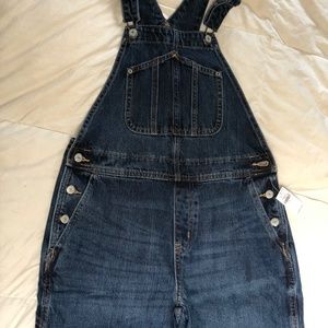Overall pants